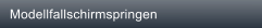 Modellfallschirmspringen